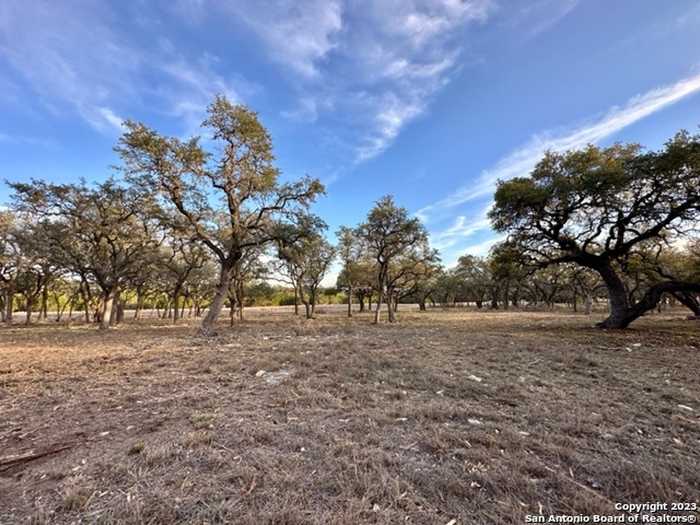 photo 1: 1131 ADYSON RIDGE RD, Bulverde TX 78163