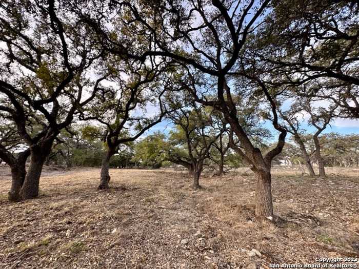 photo 13: 1131 ADYSON RIDGE RD, Bulverde TX 78163