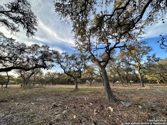 photo 2: 1131 ADYSON RIDGE RD, Bulverde TX 78163