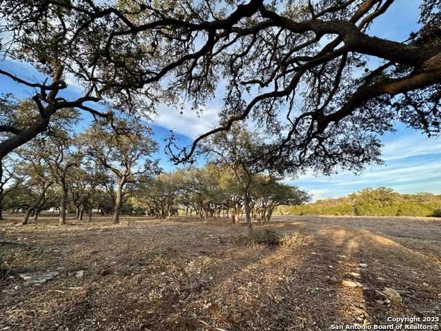 photo 3: 1131 ADYSON RIDGE RD, Bulverde TX 78163