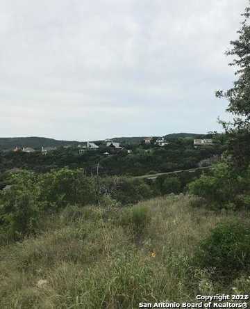 photo 3: 11234 Condor Pass, Helotes TX 78023