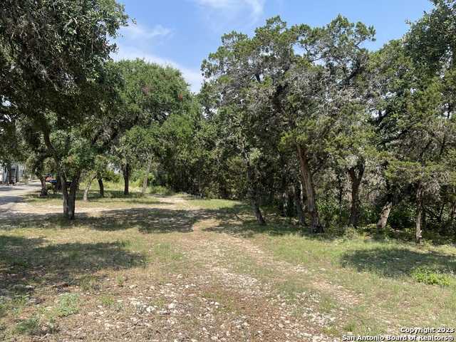 photo 3: 2184 LAKESHORE DR, Canyon Lake TX 78133