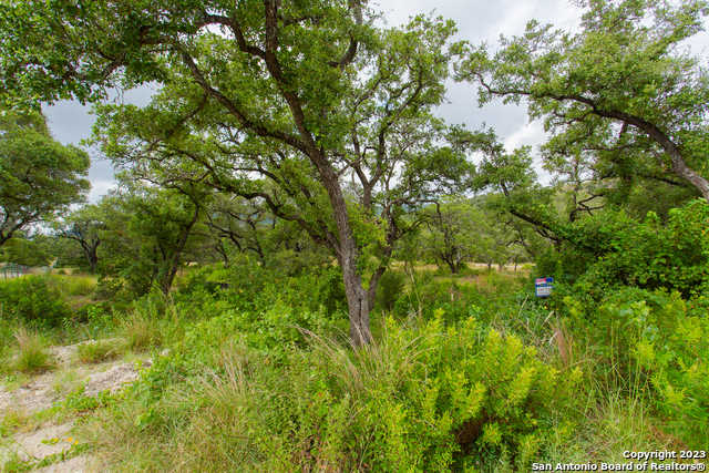 photo 3: LOT 53 CLEAR WATER CYN, Helotes TX 78023