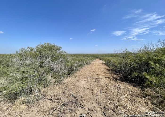 photo 1: TRACT 15 CR 1515, Moore TX 78057