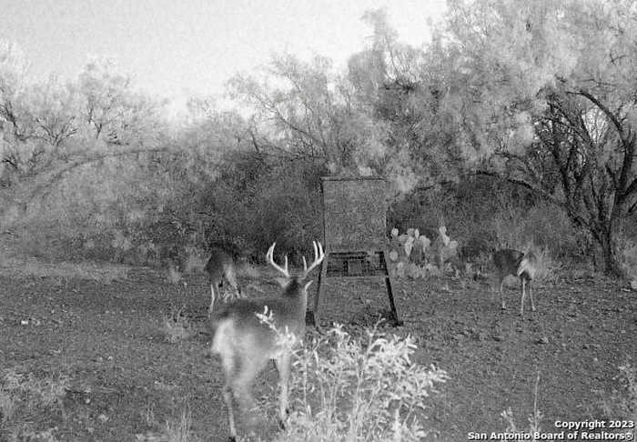 photo 14: 1066 RANCH RD HIGHWAY 187, Sabinal TX 78881