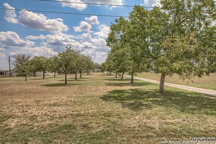 photo 47: 1645 SAGEBIEL RD, Seguin TX 78155