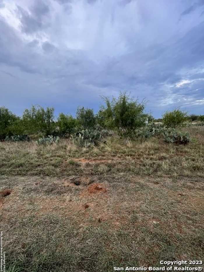 photo 1: TBD CR 3435 LOT 8, Pearsall TX 78061