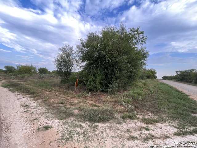 photo 1: TBD Cr 3415 LOTS 1-21, Pearsall TX 78061