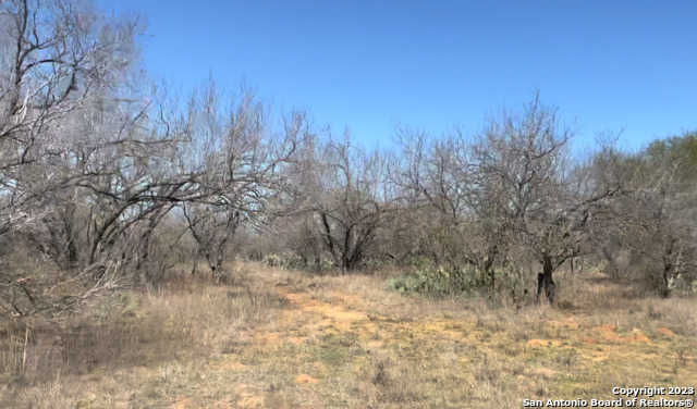 photo 2: 117 CR 2644, Moore TX 78057