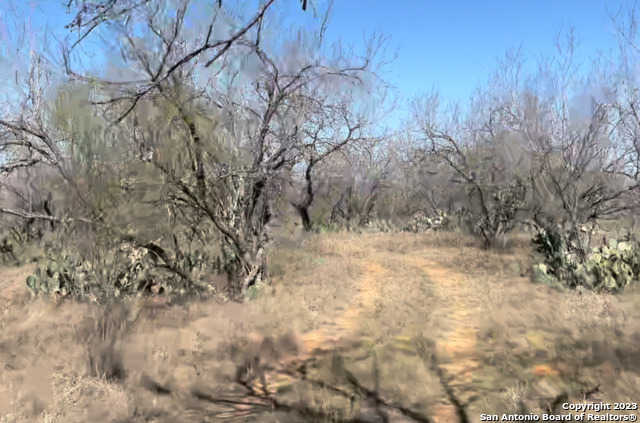 photo 3: 117 CR 2644, Moore TX 78057