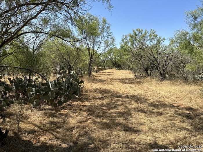 photo 1: 113 CR 2644, Moore TX 78057