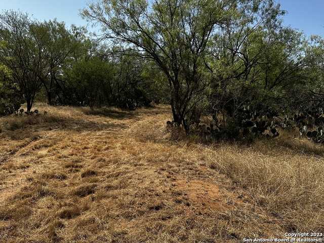 photo 2: 113 CR 2644, Moore TX 78057