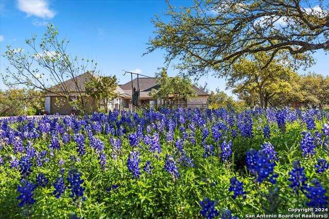 photo 2: 300 Logans Way, Blanco TX 78606