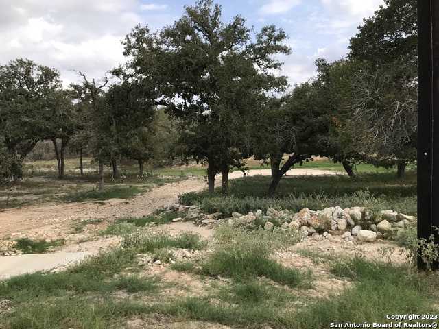 photo 3: 160 HONDO RIDGE, La Vernia TX 78121