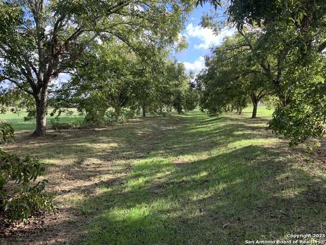 photo 2: TBD KRAMS CREEK RD, Seguin TX 78155