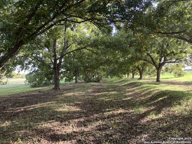 photo 3: TBD KRAMS CREEK RD, Seguin TX 78155