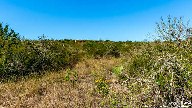 photo 3: 1 DOE LN, Uvalde TX 78801