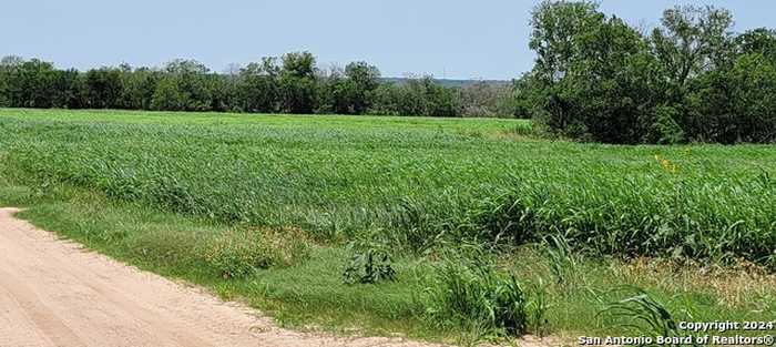 photo 2: 39.39 ACRES County Rd 336, La Vernia TX 78121