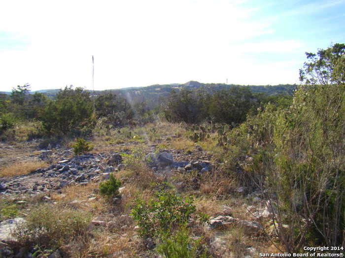 photo 2: LOT 375 COUNTY ROAD 2744, Mico TX 78056