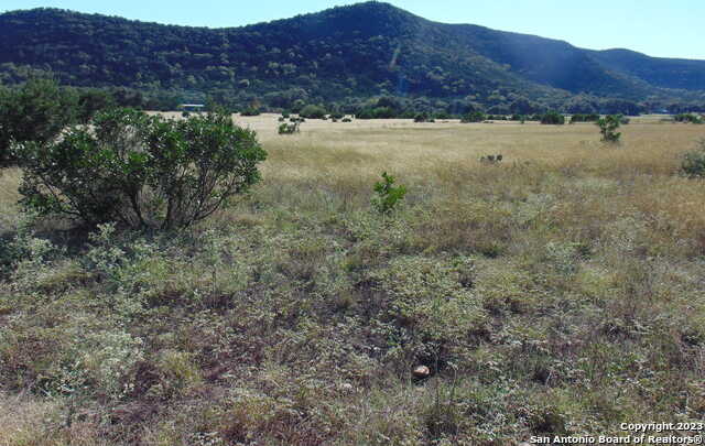 photo 2: John Buchanan, Leakey TX 78873