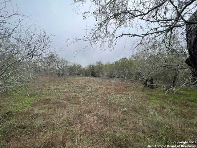 photo 1: TBD FM 466, Seguin TX 78155