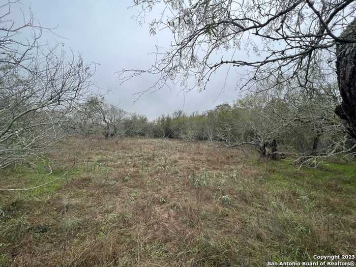 photo 1: TBD FM 466, Seguin TX 78155