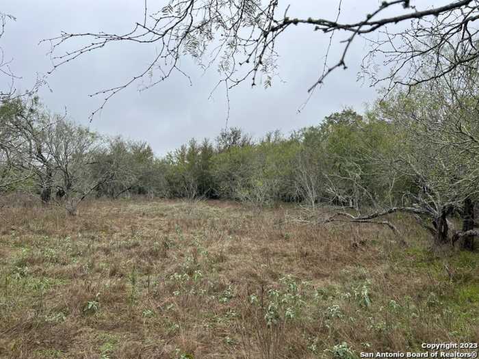 photo 5: TBD FM 466, Seguin TX 78155