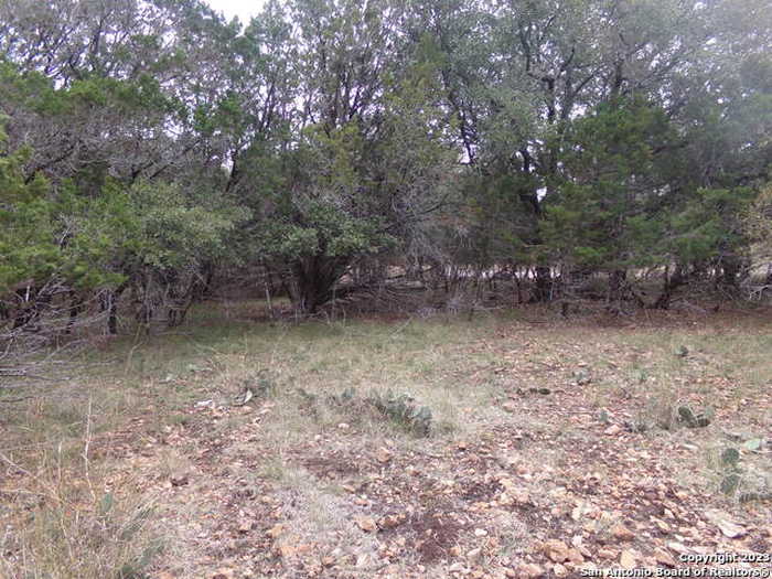 photo 2: 95 Mountain Valley Dr, ConCan TX 78838