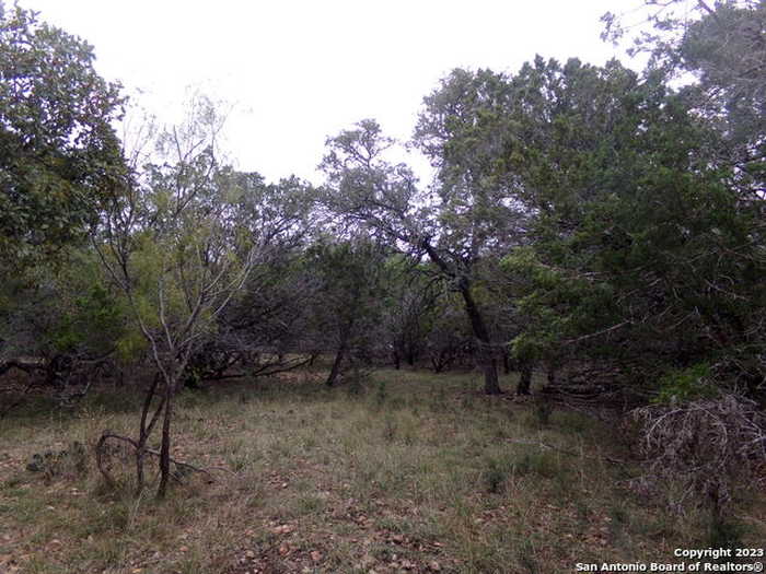 photo 4: 95 Mountain Valley Dr, ConCan TX 78838