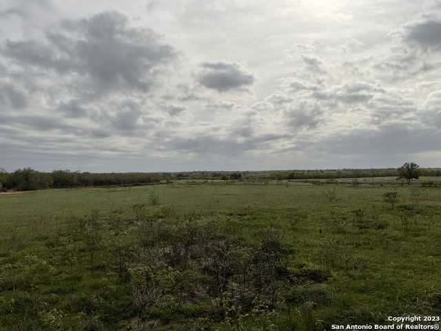 photo 3: 128 Sylas Hayes Loop, Leming TX 78064