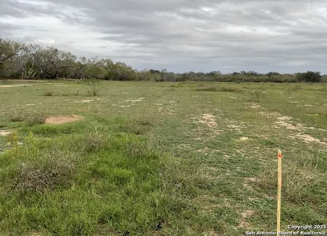 photo 1: 161 Sylas Hayes Loop, Leming TX 78064