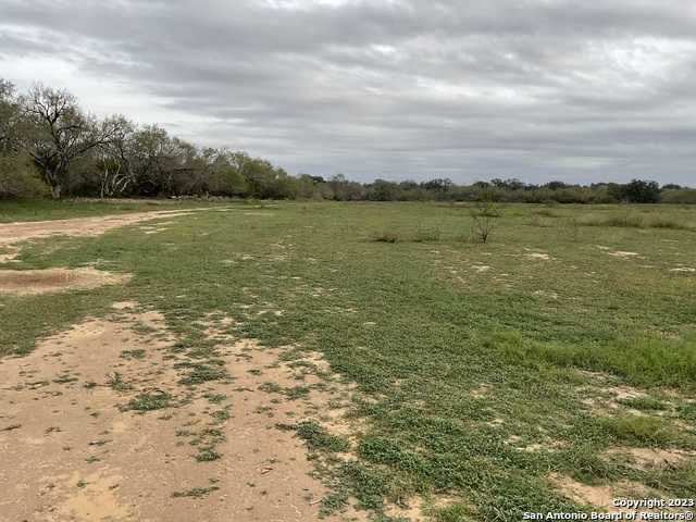 photo 3: 161 Sylas Hayes Loop, Leming TX 78064