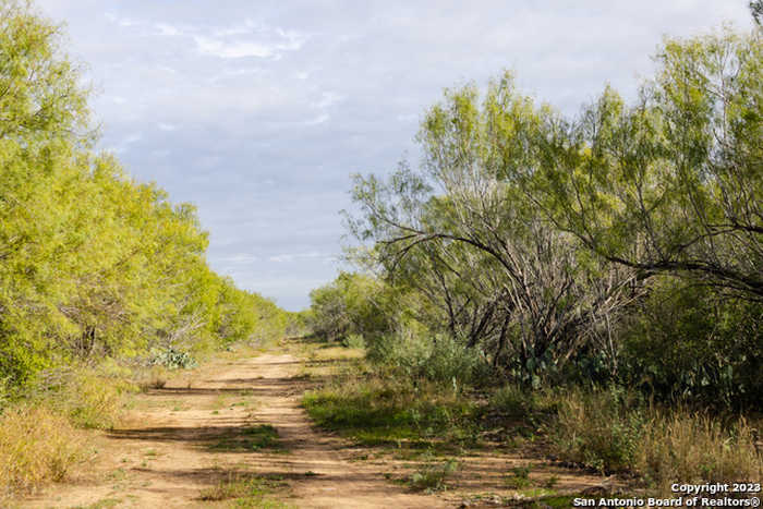 photo 2: 1 FM 1581, Pearsall TX 78061