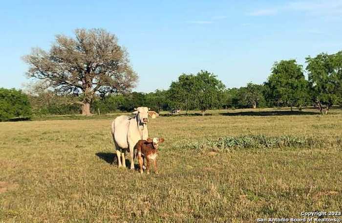 photo 2: 116 Hidden Hills, Floresville TX 78114