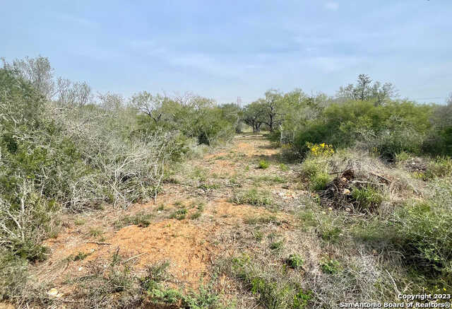 photo 3: TRACT 9 CR 1670 and CR 1515, Moore TX 78057