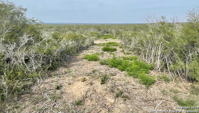 photo 6: TRACT 9 CR 1670 and CR 1515, Moore TX 78057