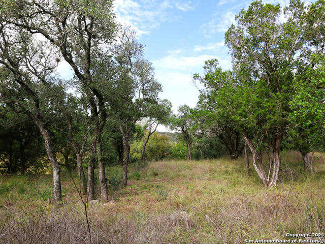 photo 3: LOT 365 PALOMINO SPGS, Bandera TX 78003