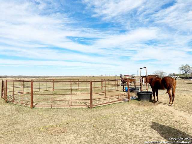 photo 3: 6161 County Road 2000, Pearsall TX 78061