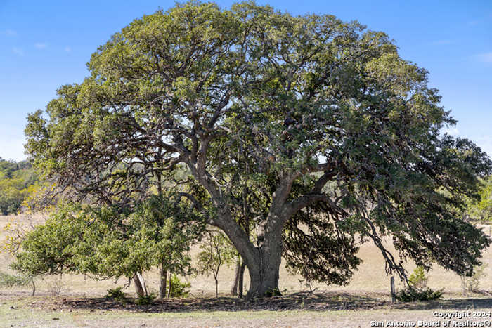 photo 2: 4700 Grape Creek Rd, Comfort TX 78624