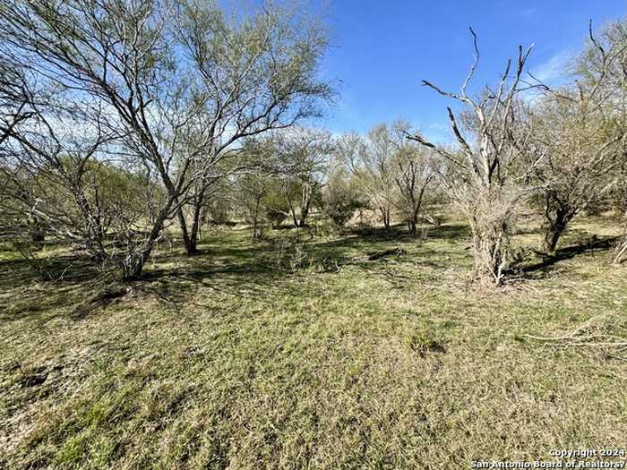 photo 49: 10514 County Road 115, Mineral TX 78102