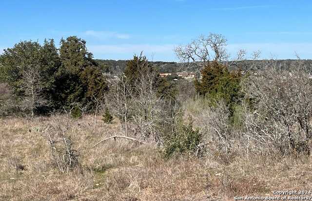 photo 2: 1070 (LOT 348) PROVENCE, New Braunfels TX 78132