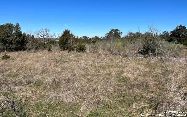 photo 3: 1070 (LOT 348) PROVENCE, New Braunfels TX 78132