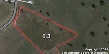 photo 3: 233 TRIPLE BEND DR, La Vernia TX 78121