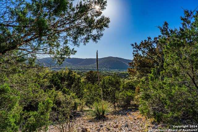 photo 2: 28 Frio Canyon Loop, ConCan TX 78838