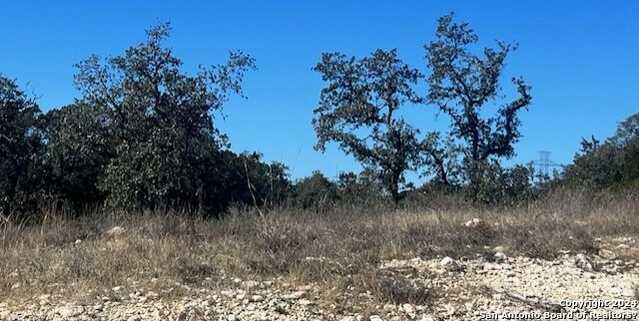 photo 2: LOT 15 EARLE OAK AVE, Bulverde TX 78163