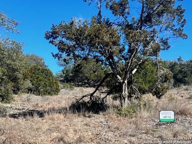 photo 1: LOT 16 EARLE OAK AVE, Bulverde TX 78163