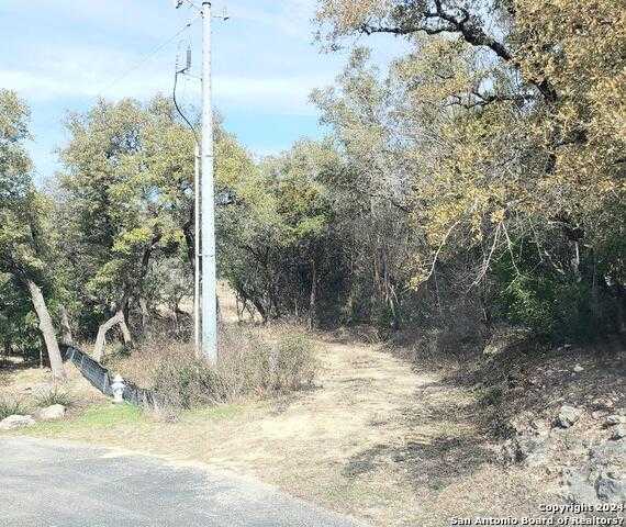 photo 2: 14465 CHINQUAPIN, Helotes TX 78023