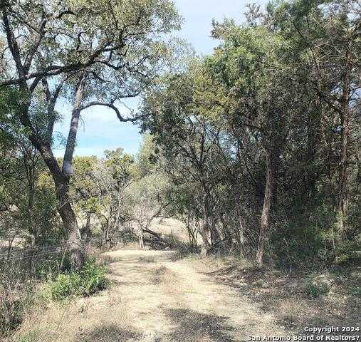 photo 3: 14465 CHINQUAPIN, Helotes TX 78023