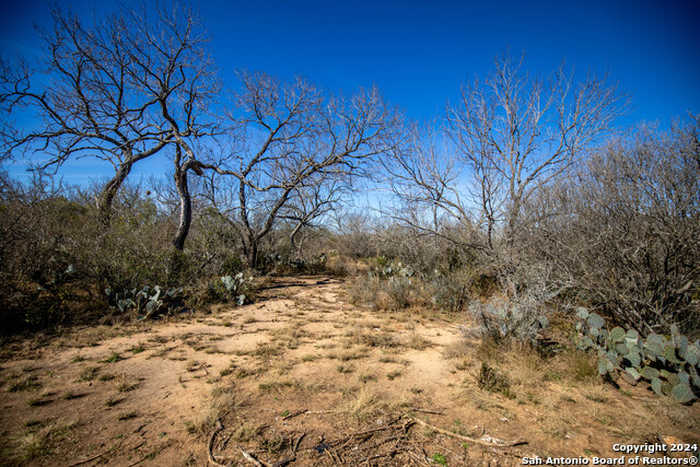 photo 1: 17000 FM 140, Pearsall TX 78061