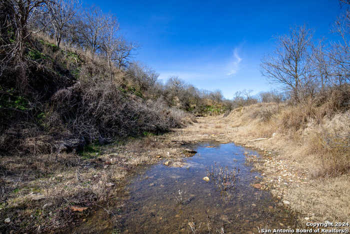 photo 2: 17000 FM 140, Pearsall TX 78061